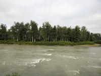 Bahnfahrt nach Fairbanks