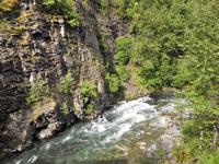 Bahnfahrt nach Fairbanks