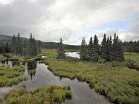 Bahnfahrt nach Fairbanks