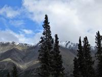 Bahnfahrt nach Fairbanks