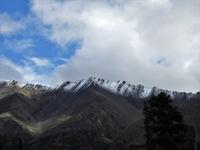 Bahnfahrt nach Fairbanks