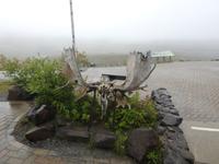 Geweihe zweier Caribous - für immer und ewig verbunden