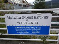 Lachsaufzuchtstation