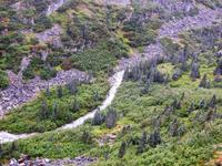 White Pass & Yukon Route