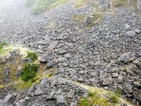 Trail der Goldsucher