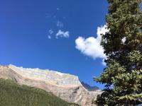 Die schoene Zeichnung im Berg