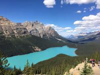 Peyto Lake wie auf der Postkarte