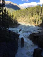 Die Sunwapta Faelle gleich neben unserer Lodge