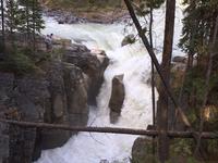 Das versteinerte Eichhoernchen 