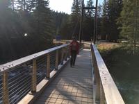 ich auch, ich auch mitkommen !