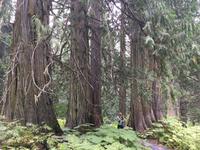 Wir sind soooooo klein