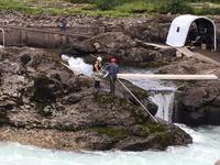 schau ich habe einen grossen Spring Lachs herausgeholt