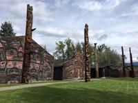 Majestaetisch stehen sie am Ufer des Flusses