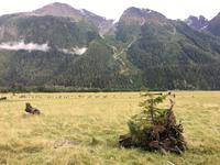 Kuestenberge bei Stewart