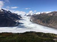 Lachs Gletscher in Alaska