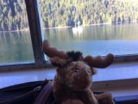 Rocky Monty kommt auch mit