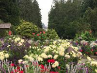 der Franzoesische Garten