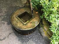 Die Welt in einem Brunnen - japanischer Garten