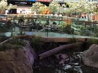 Abflughalle von Vancouver