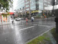 Abschied von Montreal - es regnet