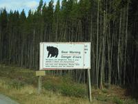 Warnung vor Bären