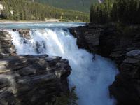 Athabasca Wasserfall