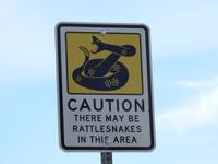 Achtung, Klapperschlangen!