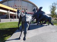 Calgary Stampede