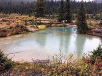 Ink Pots bei Johnston Canyon