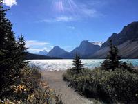 Bow Lake mit Crawfoot Glacier im Hintergrund