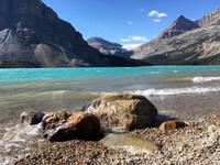Bow Lake mit Bow Gletscher
