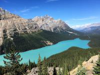 Peyto Lake in seiner Pracht