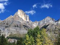 Bei Saskatchewan River Crossing