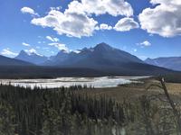 Sicht vom Picknick Plaetzchen aus 