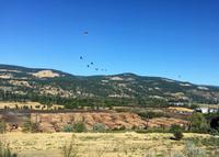 Holz, nichts wie Holz 