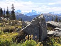 wie beim Fotokurs gelernt