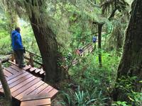 mal oben mal unten gehend 