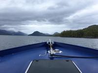 mit dem Schiff auf Maquinna Island