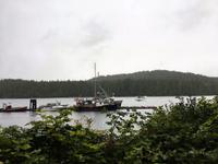 der Anlegesteg von Maquinna Island