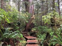 Die schoenste Wanderung