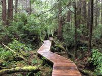 im Zig Zag durch den Urwald