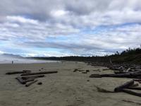 Spaziergang am Strand
