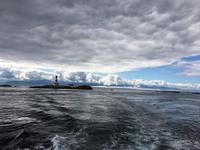 Race Rocks mit seinen Seeloewen