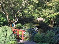 der japanische Garten mit der roten Bruecke