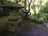 Jing und Jang im japanischen Garten