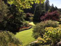 der versunkene Garten