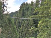 Die Capilano Haengebruecke