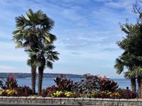 English Bay in Vancouver