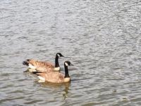 Auf Wiedersehen liebe Besucher