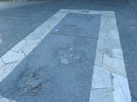 Fußspuren von Sauriern